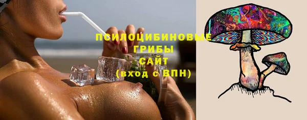 дмт Алагир