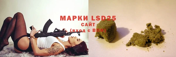 PSILOCYBIN Майский