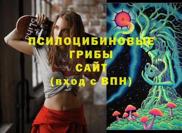 PSILOCYBIN Майский