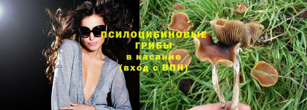 трава Магас