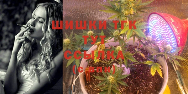 PSILOCYBIN Майский
