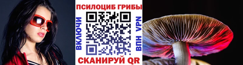 Галлюциногенные грибы MAGIC MUSHROOMS  как найти закладки  Чулым 
